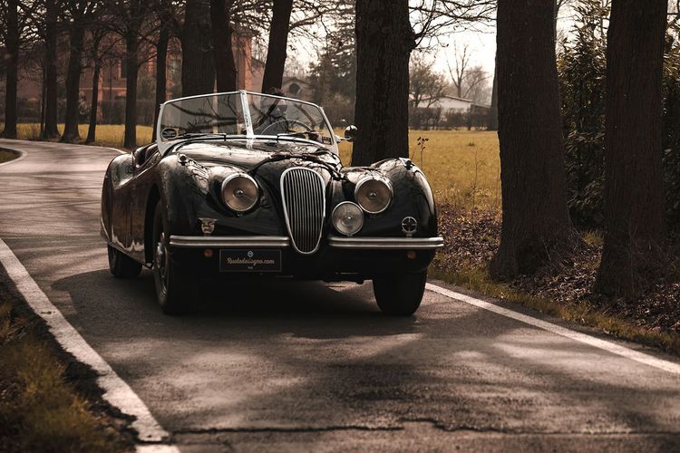 Jaguar XK120 OTS
